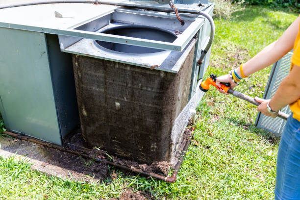 Best Air Duct Sanitizing Services  in Webster Groves, MO