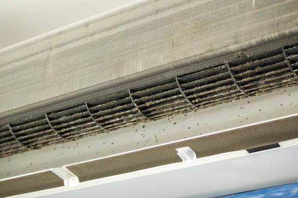 Best Local Air Duct Cleaning Services  in Webster Groves, MO