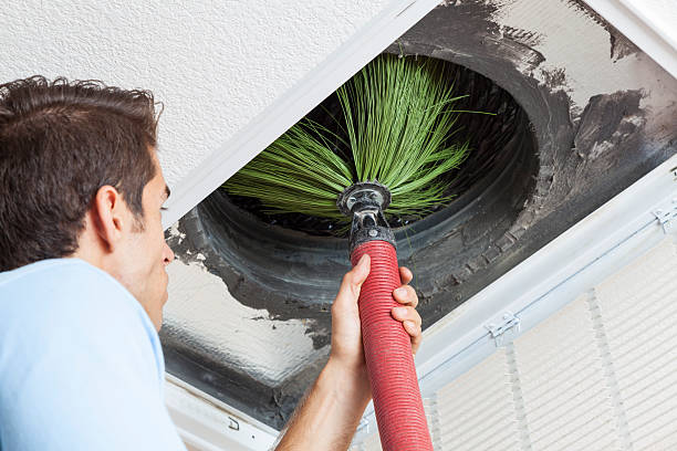 Best Dryer Vent Cleaning Services  in Webster Groves, MO